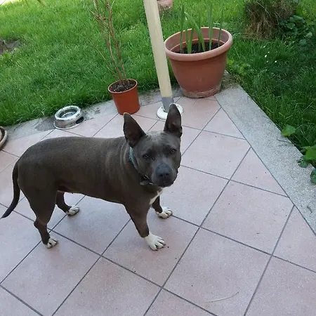 Hejjas Vendeghaz Maison d'hôtes *